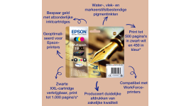 &nbsp;