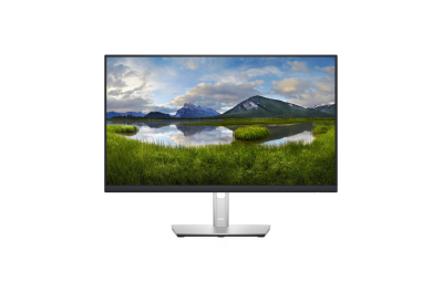 DELL P Series 24 monitor - P2422H