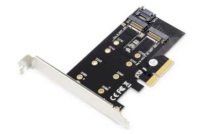 Digitus DS-33170 interfacekaart/-adapter Intern M.2