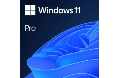 Microsoft Windows 11 Pro OEM