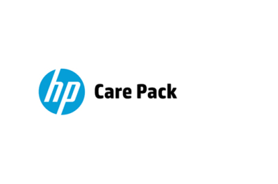 Hewlett Packard Enterprise U3AG6E IT support service